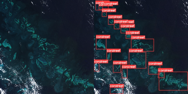 Coral Reef Detection